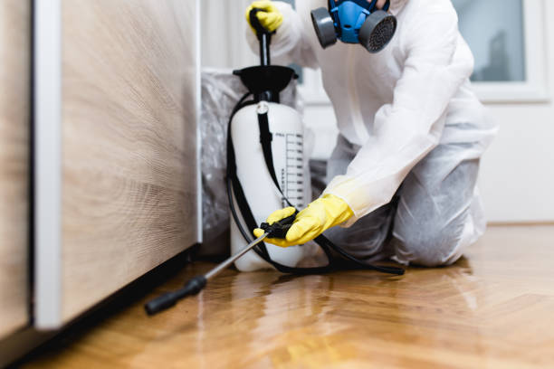 Best Rat Extermination Near Me  in Center Hill, FL