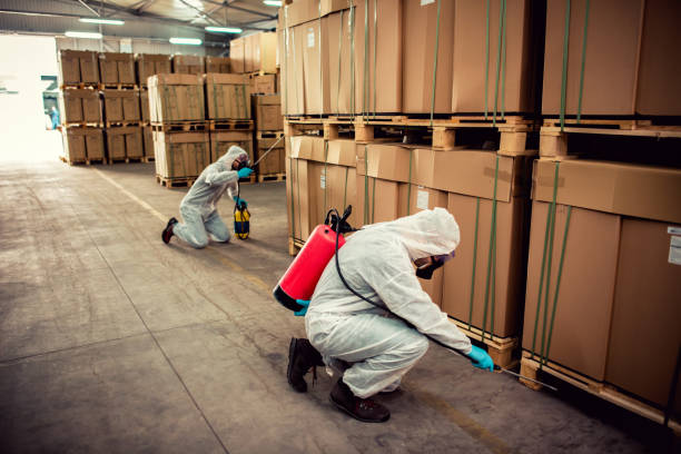 Best Bed Bug Extermination  in Center Hill, FL