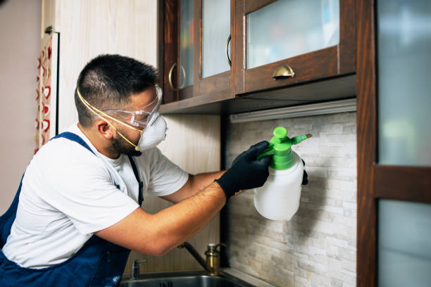 Best Pest Control for Restaurants  in Center Hill, FL