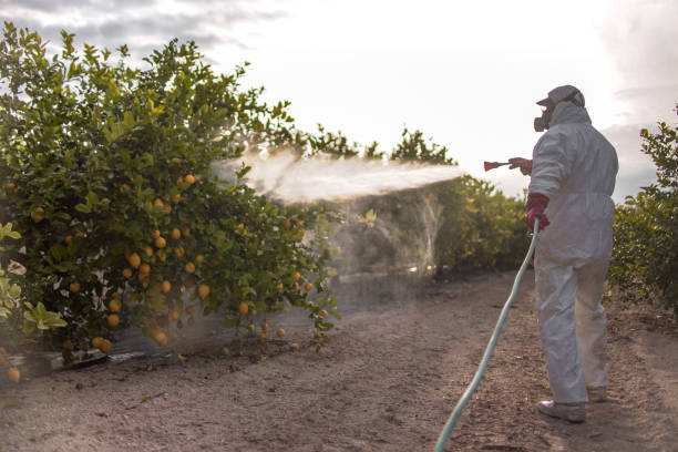 Best Pest Control Near Me  in Center Hill, FL