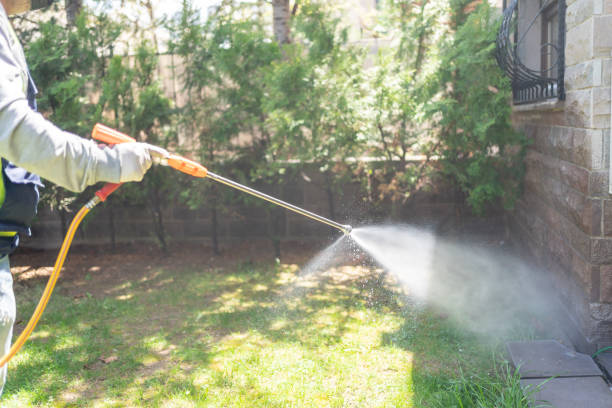 Best Spider Control Near Me  in Center Hill, FL