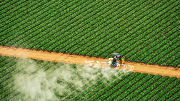 Best Termite Control Services  in Center Hill, FL