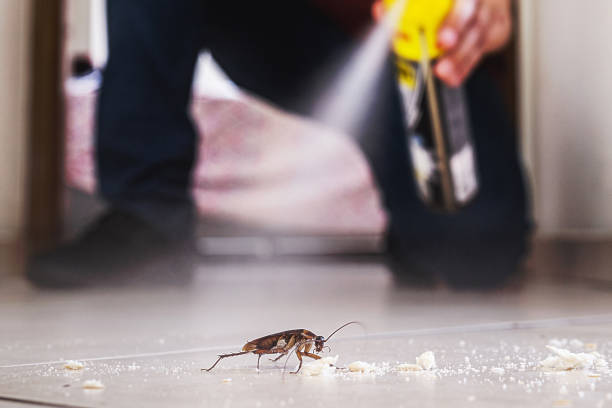 Best Emergency Pest Control  in Center Hill, FL